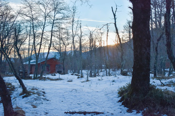 cabañas en bosque nevado, en atardecer, casa de invierno, bosque nevado, cabaña en bosque, invierno 