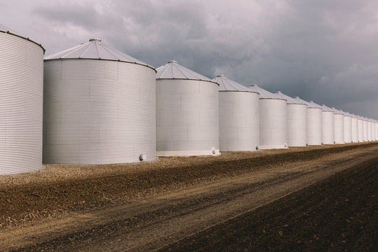 Rows of grain silos