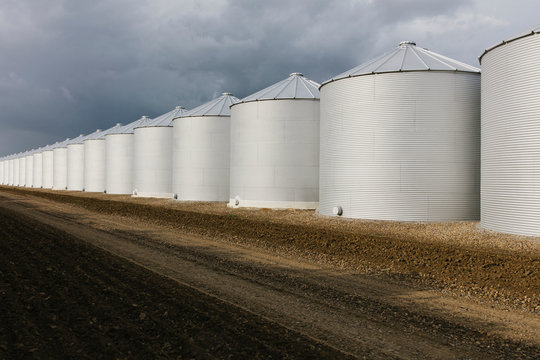 Rows of grain silos