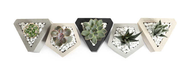 Beautiful succulent plants in stylish flowerpots on white background, top view. Home decor