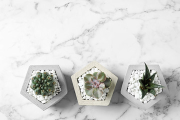 Beautiful succulent plants in stylish flowerpots on marble background, flat lay with space for...