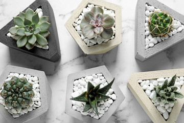 Beautiful succulent plants in stylish flowerpots on marble background, flat lay . Home decor