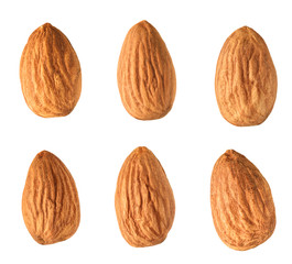 Almond set isolated on white background