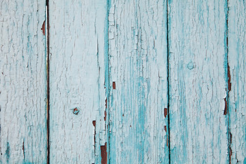 Texture of old blue paint on a wooden fence. Background for your design.