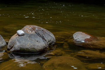 A bar of  white soap rests over a rock in a river at the temperate lands of the Andean mountains of central Colombia.