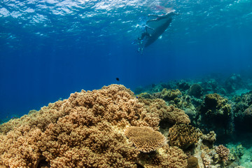 Traditional wooden boat above a shallow water tropical coral reef