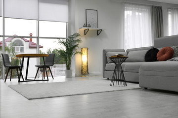 Cozy living room with modern furniture and stylish decor. Ideas for interior