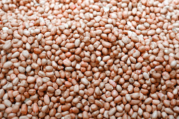 close up on raw peanut in harvest season