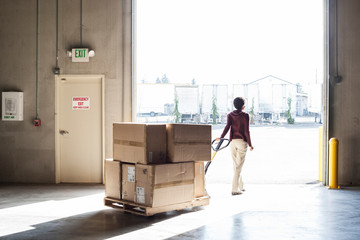 Rear view of worker using pallet jack in warehouse