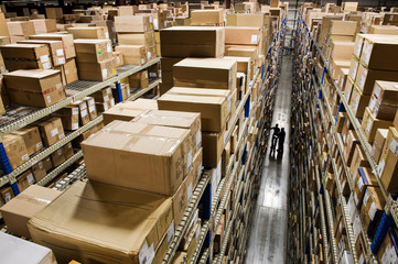 Workers working in warehouse