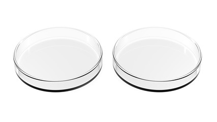 Two petri dishes isolated on white background. 3d Illustration. Empty.