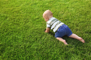 Fototapeta na wymiar Adorable little baby crawling on green grass outdoors