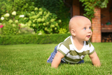 Adorable little baby crawling on green grass outdoors