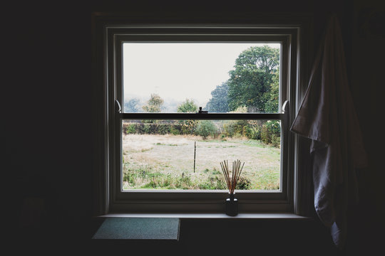 View of trees seen through sash window