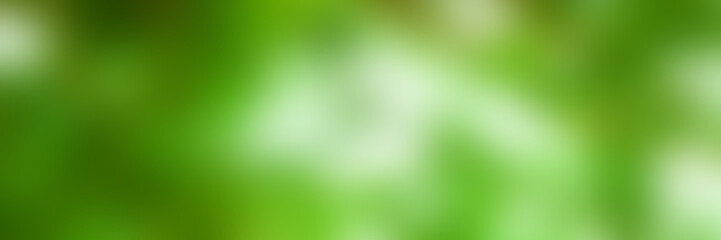 green blurred backdrop of nature, circle light wallpaper, white bokeh background