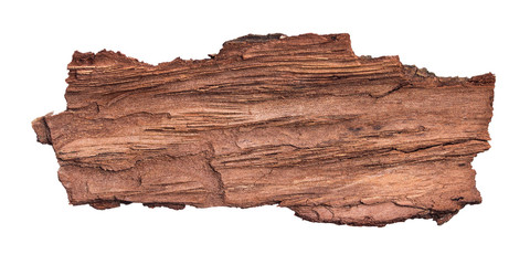 Large piece of bark inside isolated white background - obrazy, fototapety, plakaty