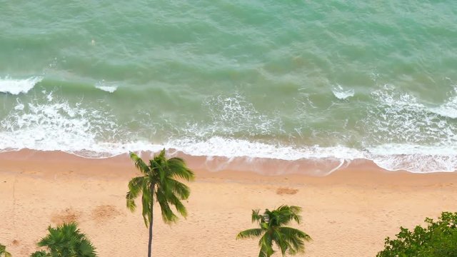 High Angle ocean waves roll in on the Southeast Asian sandy beach ringed with palm trees,