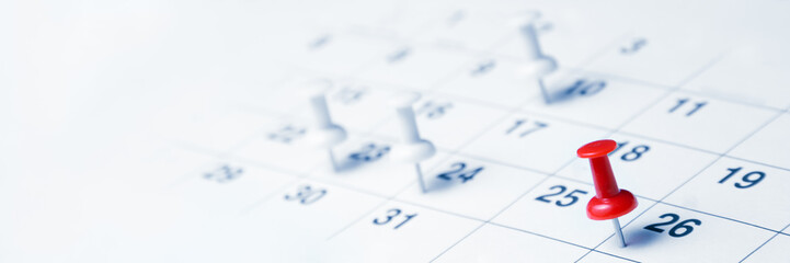 Tacks On Calendar Page/Business Concept - obrazy, fototapety, plakaty