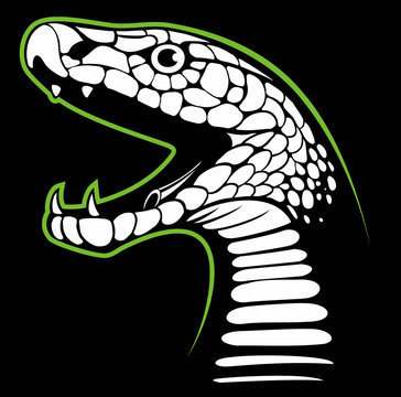 Snake head vector image, black mamba head vector logo design element.