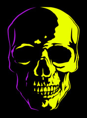 Yellow and violet color human skull image, vector skull in the darkness.