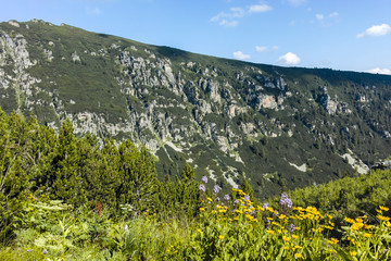 Malyoviska river Valley, Rila Mountain, Bulgaria