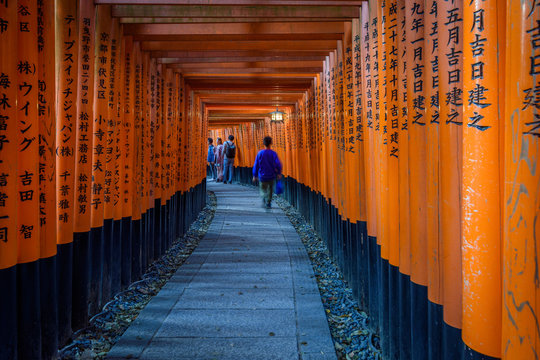 View of people walking through Torii gates