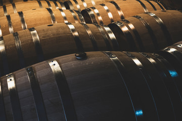 Oak wine barrels in winery