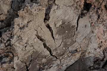 some crack on drying soil surface