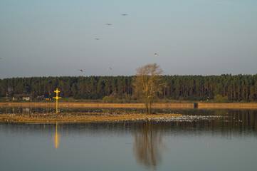 Small island with the cross and many birds