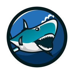 Shark circle emblem logo design. Shark icon logo identity. Shark head vector illustration