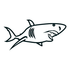 Shark line art vector illustration. Shark simple outline design