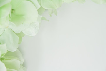 Closeup of artificial green flowers on a white background suitable for wedding invitations and other announcements that need a soft background.