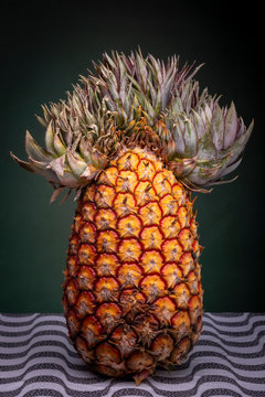 Close up of an upright standing pineapple with an extraordinary top that looks like a Mexican sombrero or Napoleon hat on a patterned surface against a dark green background
