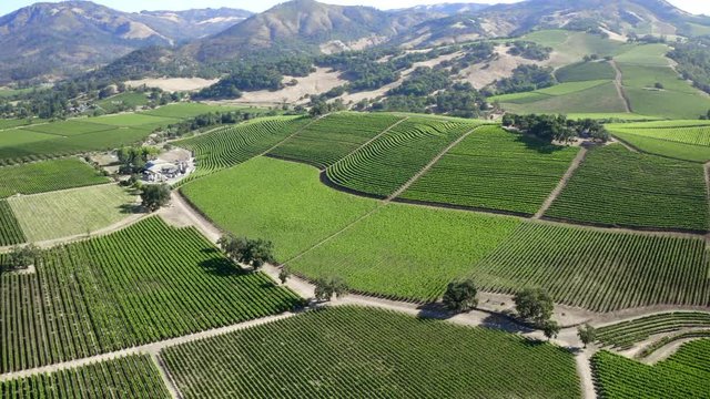 Drone view of Vineyards, Kenwood, Sonoma Valley, CA.