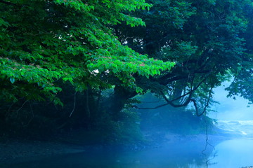 岩手県西和賀町　夏の弁天島