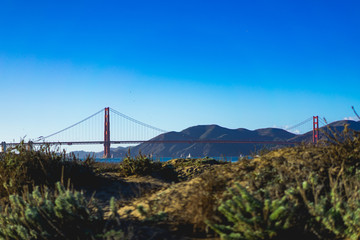 Fototapeta na wymiar View of Golden Gate Bridge