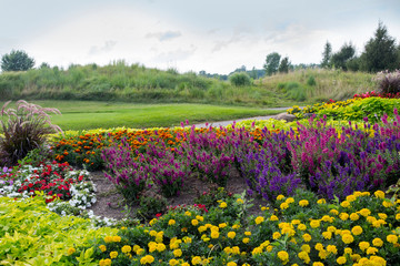 Colorful flower gardens in rolling hills on a summer day in August