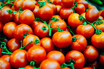 Close up of vine ripe tomatoes with green stems