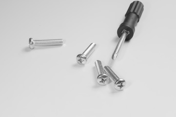 Screws and screwdriver on a white background