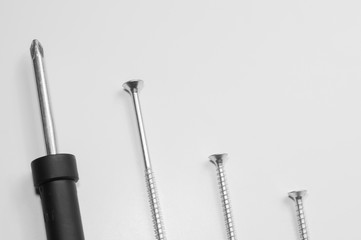 Screwdriver and screws in a row on a white background