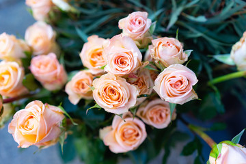 Pink roses in a bouquet