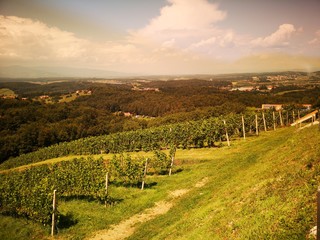 Obraz premium Kitzeck im Sausal, Steiermark, Weinstraße