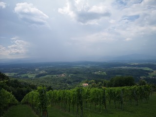 Steiermark Österreich Landschaft im Sommer