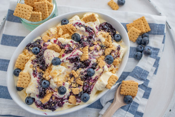 home made vanilla cheesecake ice cream with blueberries