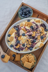 home made vanilla cheesecake ice cream with blueberries