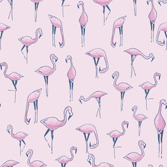 Flamingo bird hand drawing outline seamless pattern