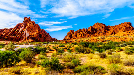 Red Aztec Sandstone Mountains under Blue Sky at the Mouse's Tank Trail in the Valley of Fire State Park in Nevada, USA