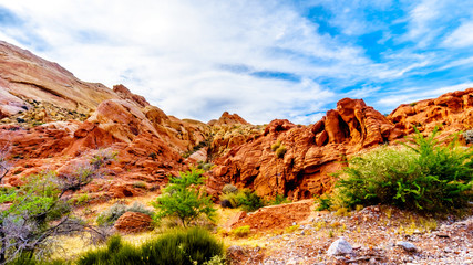 The colorful red, yellow and white sandstone rock formations along the White Dome Trail in the Valley of Fire State Park in Nevada, USA