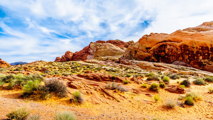 The colorful red, yellow and white sandstone rock formations along the White Dome Trail in the Valley of Fire State Park in Nevada, USA