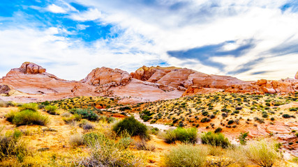 The colorful red, yellow and white sandstone rock formations along the White Dome Trail in the Valley of Fire State Park in Nevada, USA